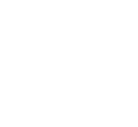 City of Dallas Logo White